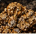 Gold ore